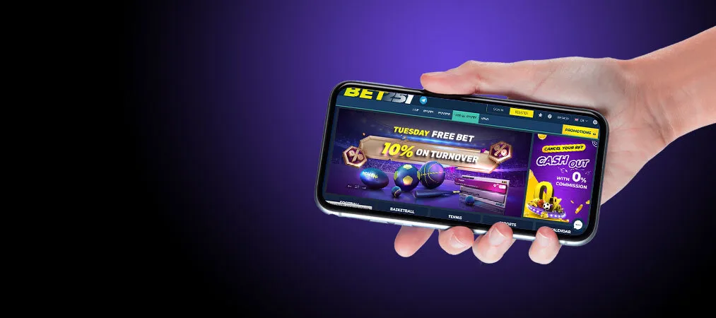 Mobile app interface
